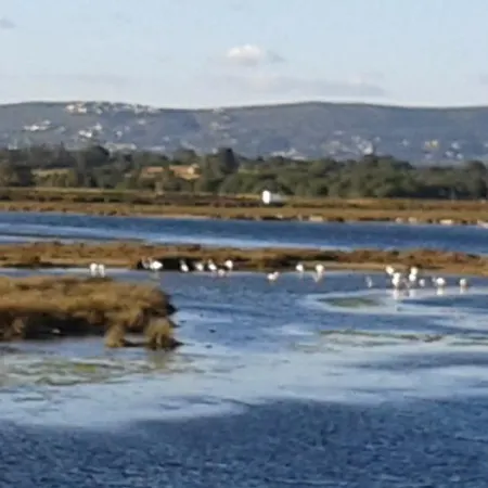 Rooms_heart Dystrykt Faro