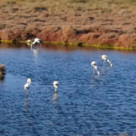 Rooms_heart Kwatera prywatna *